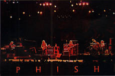 Live Phish Videos!